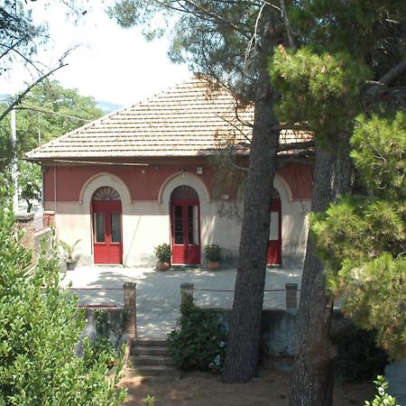 B&B Sotto I Pini Zafferana Etnea Zewnętrze zdjęcie